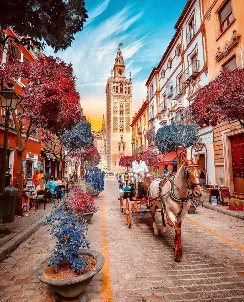 City Center Sevilla Севилья Экстерьер фото